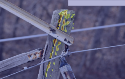Pole defect heatmap
